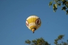BTr_2004_1.jpg