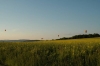 BTr_2004_10.jpg