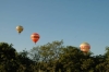 BTr_2004_5.jpg