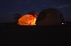 BTr_2004_N_2.jpg