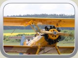 Flugplatzfest Pfingstsonntag 2010