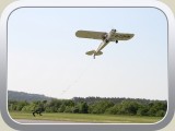 Flugplatzfest Pfingstmontag 2010