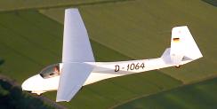 unsere Ka 8 �ber einem Wald